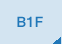 B1F