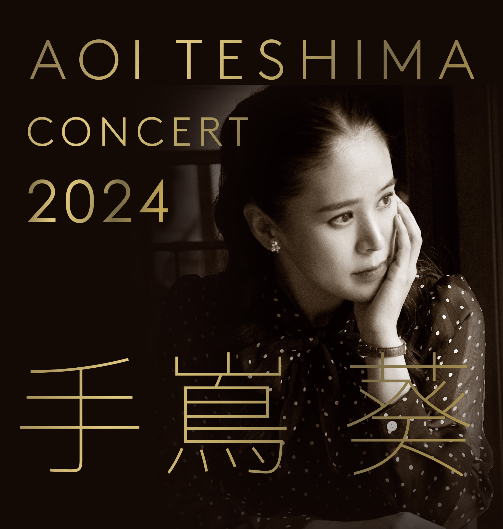手嶌葵 CONCERT 2024 ~Trio~